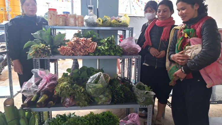 Quảng Ngãi sền gròi bơcri priă bơt bơtàu drà tiah kơh bơnơm 