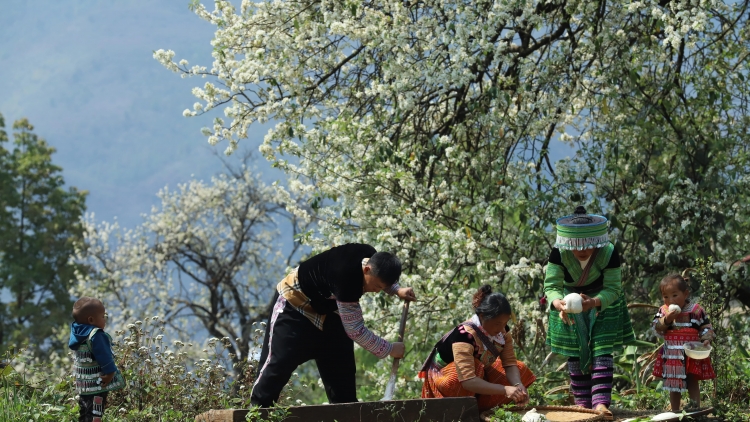 Quam kháo phổng Tày Bắc thứ  6 mự 21 căm bườn 11 pì 2025