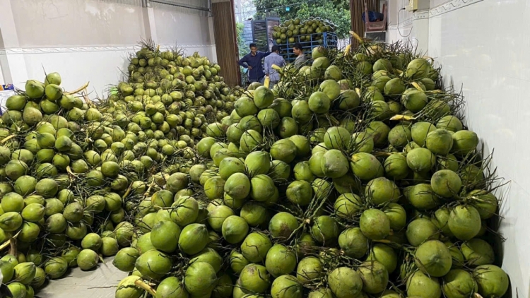 ពត៌មាន ម៉ោង​ ៦