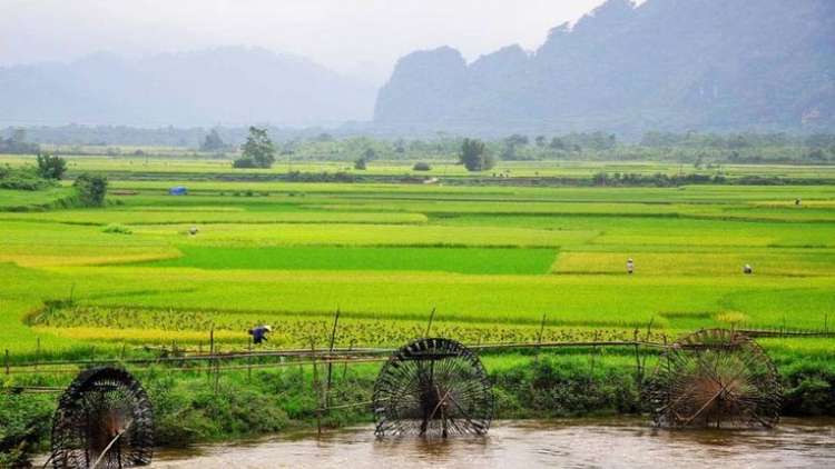 Danak dak sap Cam 09_11_2025