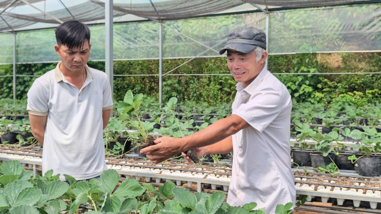 Ngon tô thứ 4 mự 03 căm bườn 12 pì 2025: Tẳng tánh bản na mắư tẹt tiêng té há phong “Po hay me na khánh thì dệt dượn, cạ khài giỏi”