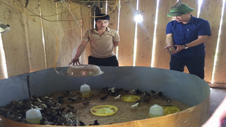 Ngon tô tênh căm thứ 5 mự 27 bườn 11 pì 2025- Po hay me na cận hụ số 15