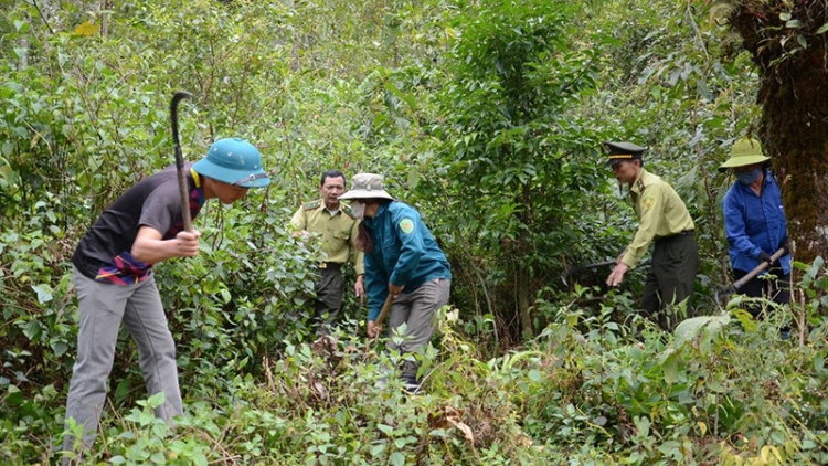 Lầy tzình cunz xiêuz kếu xiêuz mảng kềm