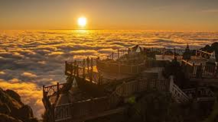 Danak dak sap Cam 12_11_2025