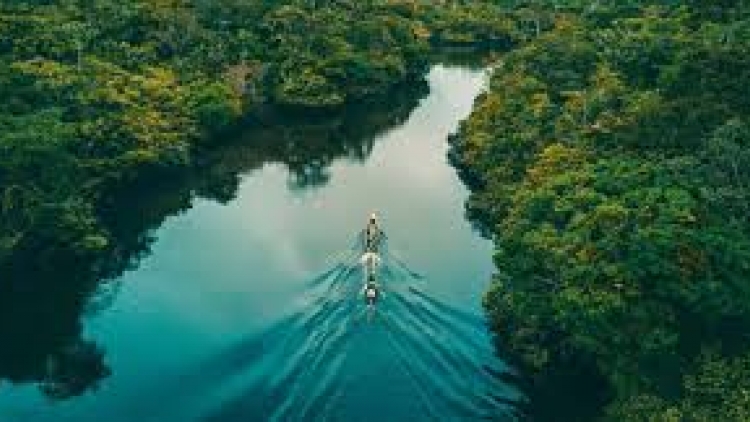 Danak dak sap Cam 17_11_2025