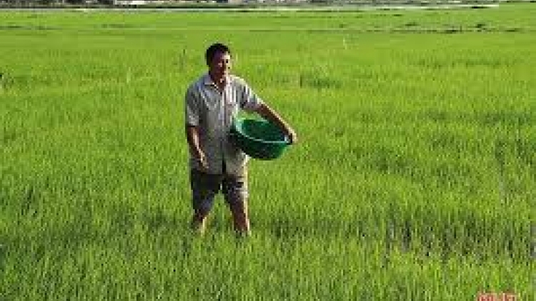 Danak dak sap Cam 18_11_2025