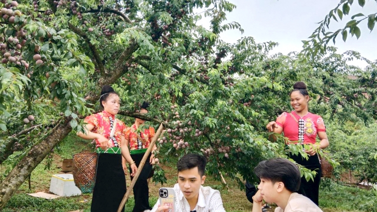 Ngon tô thứ 5 mự 20 căm bườn 11 pì 2025 – Cò kìn mák, choi chu chựa dần mương Sơn La hựt khửn tẹt tiêng puồng kìn đơi dú, lài chua hươn hựt khửn pền chua hươn hăng mi.