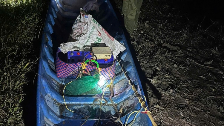 ដុងថាបប្តេជ្ញាបង្ក្រាបស្ថានភាពនេសាទត្រីដោយការប្រើឧបករណ៍ឆក់នៅវាល ចំការម្នាស់