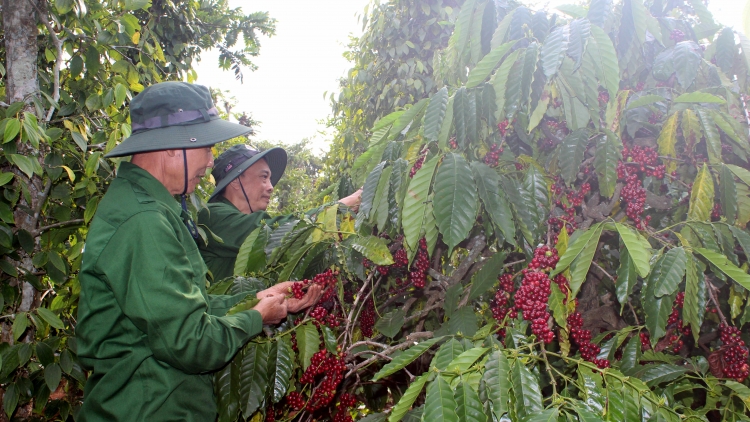 Broă lơh ătbồ kòp bơtờp aniai kơ̆ kơl jăp tàm lơh gơlik kơphê hữu kơ