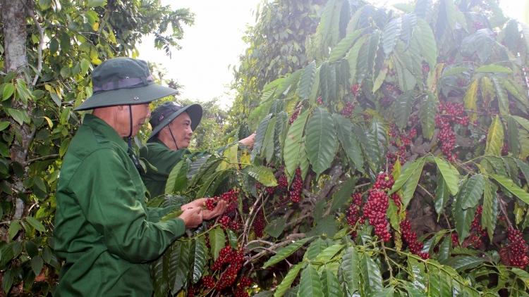 Trong jang vei lăng pơrang jĭ pơrăm kơjăp lơ̆m pơm tơlĕch cheh phe rơgoh