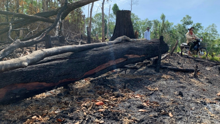 Ătbồ phan kwơ geh is, sền gàr tiah ơm kis bơh mùl màl Tây Nguyên 