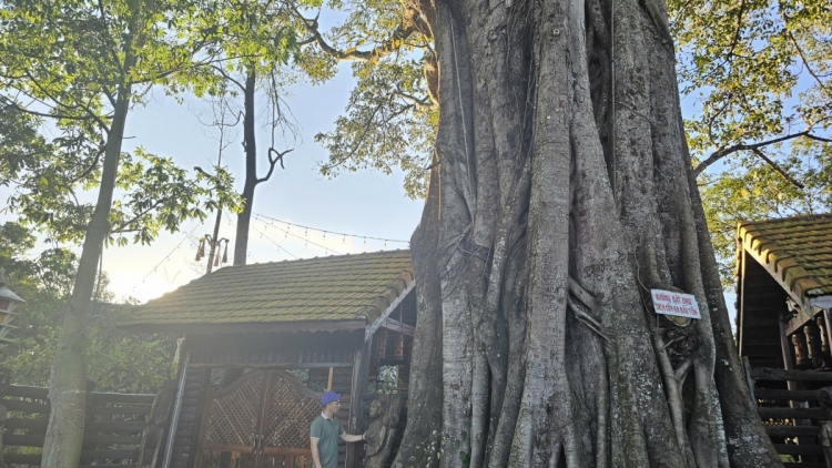 IA NUENG MEK TANGIN TAME NGAK BRUK RIVANG MA-IN BHAP BINI