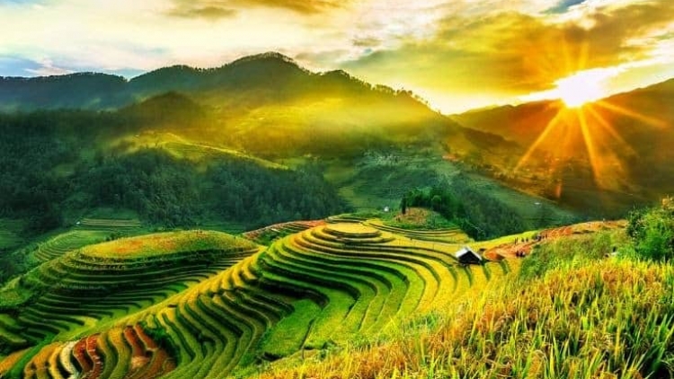 Danak dak sap Cam 23_11_2025