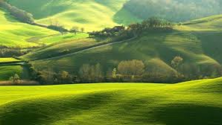 Danak dak sap Cam 10_11_2025