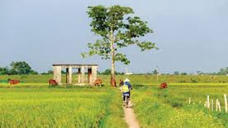 Danak dak sap Cam 28_11_2025