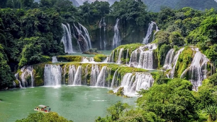 Phai paz nhây phiến