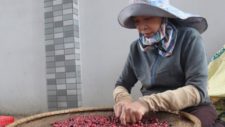 Krí ƀă ‘măn rak kơphế tung pơla kong prâi ôh tá tơniăn