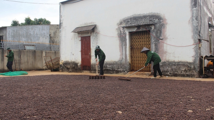 Hrui pĕ leh anăn kriê pioh kphê hlăm boh klei yan adiê amâo jăk