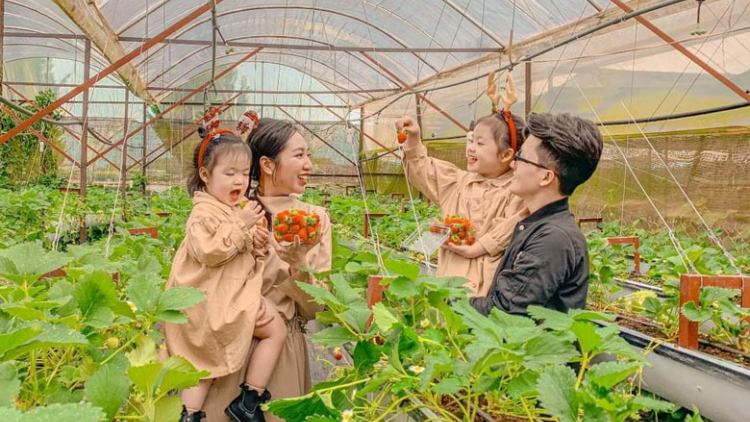 Yak hơdoi hăm jang kiơ̆ khoa hŏk-kơmăi kơmŏk lơ̆m choh jang sa