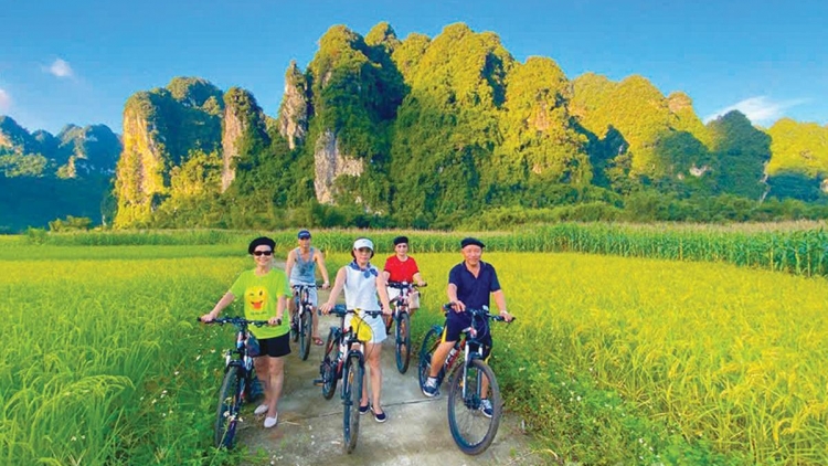 DƯƠNG CHỒM BẢN NÀ TÔNG DÚ TUYÊN QUANG