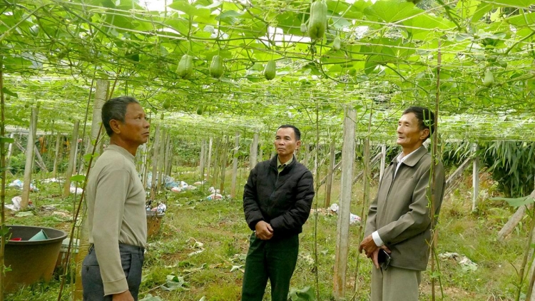 TÂN QUANG HẾT ĐÂY BẠI VIỂC CÚA CẦN ĐẢNG VIÊN 