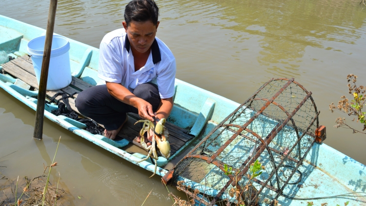 ក្ដីបារម្ភរបស់បណ្ឌិតកសិករ អំពីរបរចិញ្ចឹមក្ដាមនៅកាម៉ាវ។