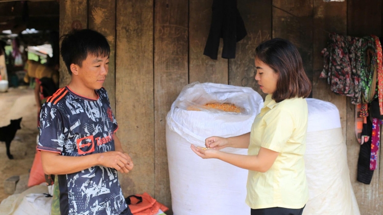 Nôngx mênhx zuôr tsuv pâuz hnuz 2-12-2025