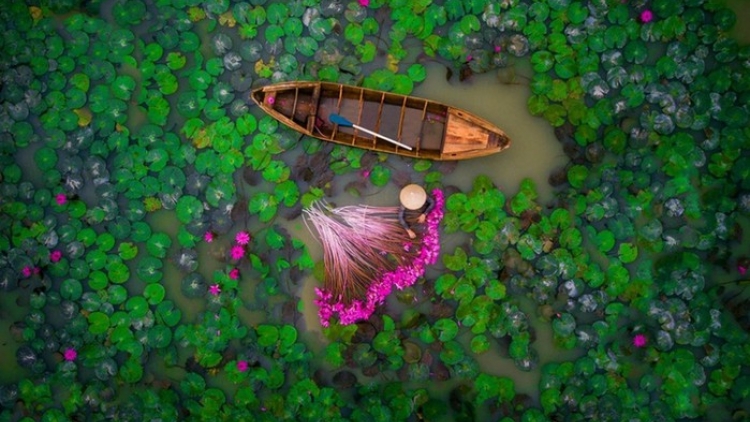 Danak dak sap Cam 28_12_2025