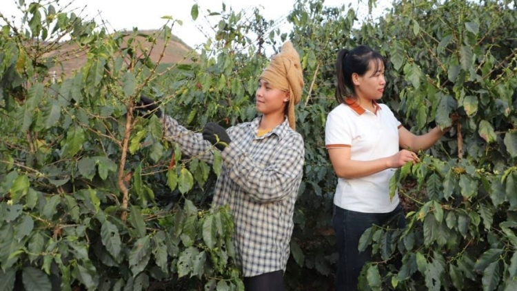  Ngon tô 2 tênh căm thứ 2 mự 15 bườn 12 pì 2025- Phủ nhinh Sờn Là cóp pặc hôm hanh tẳng tánh bản na mắư