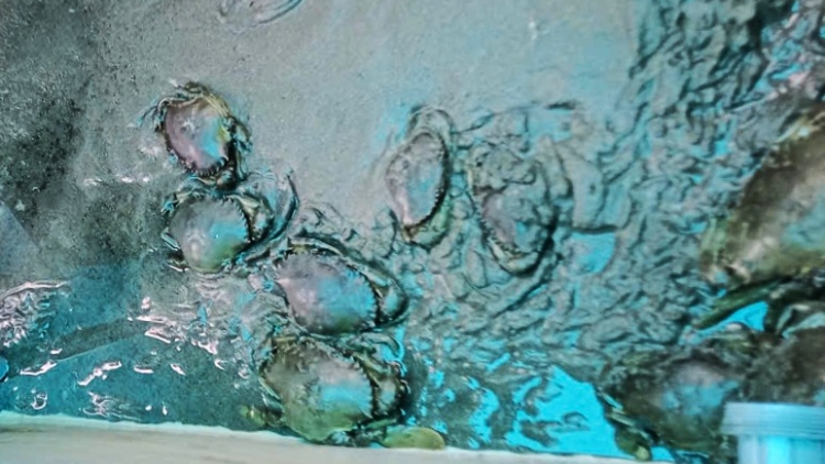 ផ្តល់កូនសោរទៅកាន់ចំណេះដឹង ជួយអ្នកក្រីក្រឱ្យក្រោកឈរឡើង