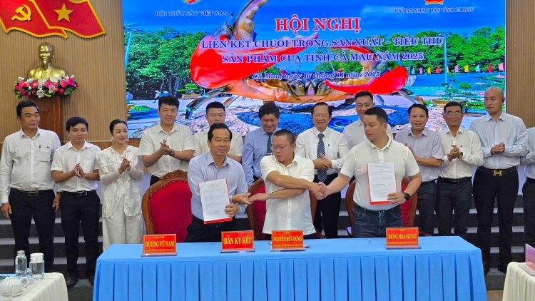  ផ្នែកទំនិញក្ដាមសមុទ្ទមានសក្ដានុពលធំ កាម៉ាវមានអានុភាពឈានមុខគេ។