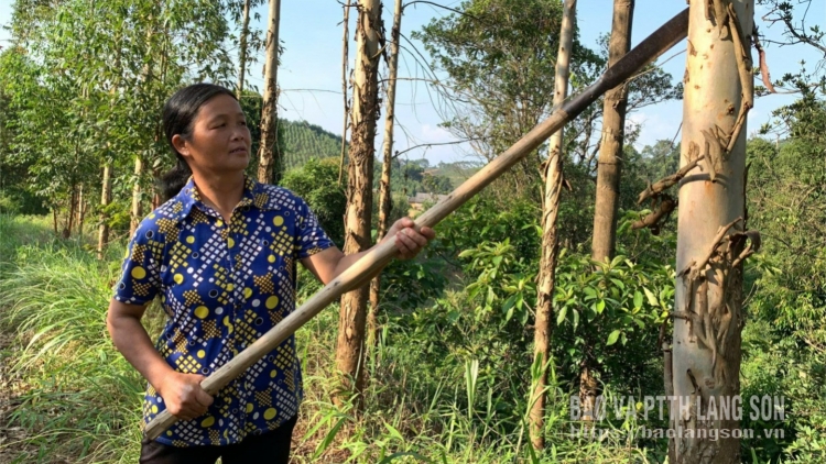 TẢY NẢI HẾT KIN SLE NẮM NHẰNG KHỎ