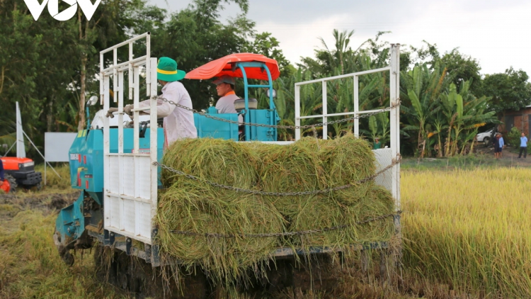 PASANG IEK PONG NERANG, PAMAONG TAL BRUK NGAK KONG HIJAO