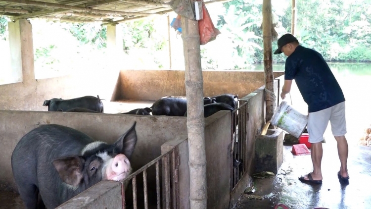 Chương trình phát thanh quam Tay, thứ 3 mự 02 căm bườn 12 pì 2025