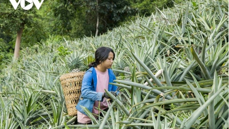 Lầy tzình phát sinh ìu miền vả thứ 2 hnoi 08.12.2025