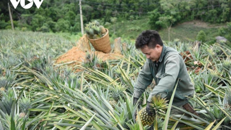 Chương trình phát thành quam Tay thứ 2 mự 8 căm bườn 12 pì 2025	