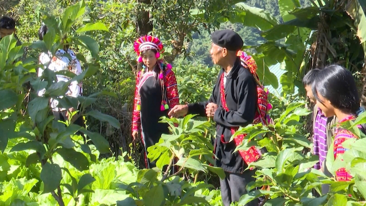 Ngon tô thứ 4 mự 24 căm bườn 12 pì 2025: Úm ình té pák bát khòng ải