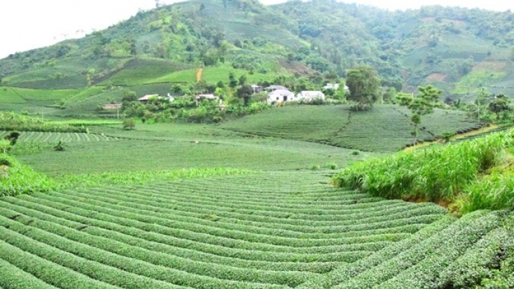 Ngon tô thứ 4 mự 03 căm bườn 12 pì 2025: Pọm cằn bánh pằn đìn đòn vạy dệt tang pày ma – tẳng tánh phổng hươn quề đáng kìn dú Bình Thuận