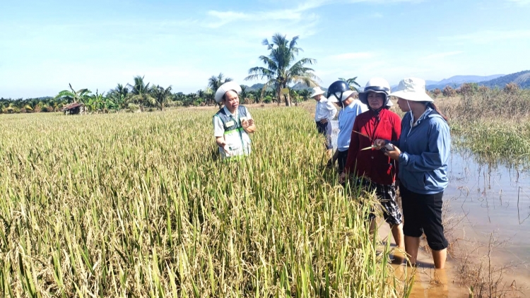 Pơhlêh nếo mơdêk rơkê dêi cheăng hnê mơhnhôk pêi chiâk a pơlê cheăm