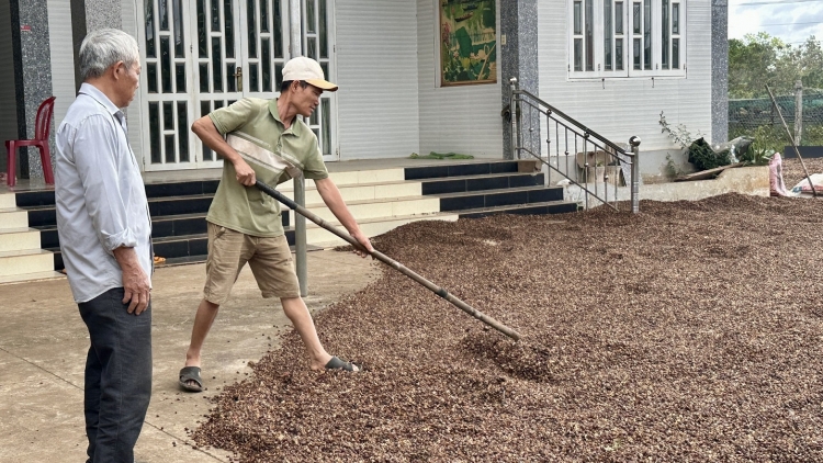 Dôm bơngai đei kon pơlei gơnang tơ̆ bri kông Đắk Lắk