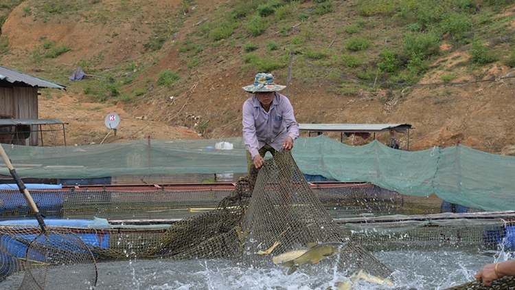 Ngon tô 2 tứn chạu thứ 2 mự 15 bườn 12 pì 2025- Côn dần Chiêng Lào mi luông dệt dượn mắư té vịa liệng pà công