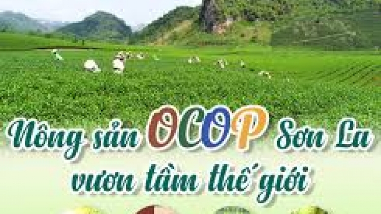 Ngon tô thứ 6 mự 05 căm bườn 12 pì 2025: Chương hang OCOP-khù pộn dỏn cuồng hún ảnh bản na mắư Sơn La