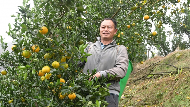 Chương trình phát thanh vằn nghệ thứ 7 mự  13 căm  bườn 12 pì 2025