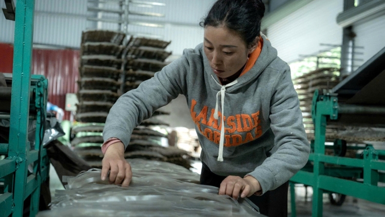 Chường trình phát thanh thứ 7 mự 20 căm bườn 12 pì 2025