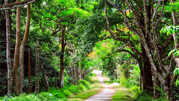 Gâk ngăn kong cho rak vế tơdroăng rêh ối la ngiâ