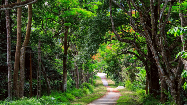 Vei lăng bri jĭ vei lăng tơdrong arih ning mônh kơnh