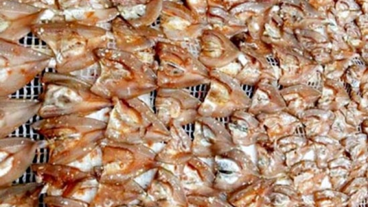 Ngon tô thứ 6 mự 12 căm bườn 12 pì 2025- Quỳnh Nhai mả khày vịa tảnh liệng pả củng cựt ma thù nhập tẹt tiêng hẳư côn dần