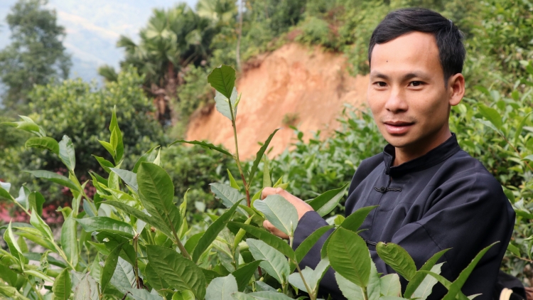 CHÀI CẦN TÀY XÁU THÌNH CHÈ CHỐT 468 