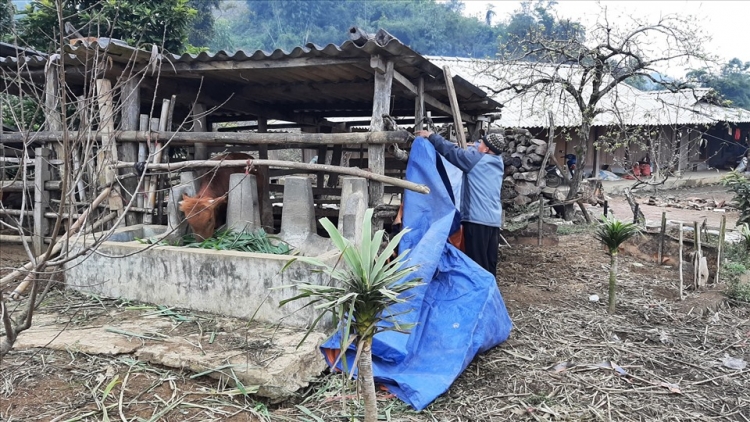 Tsưr ziv uô kôngz thiêz siv nênhx hnuz 30-12-2025