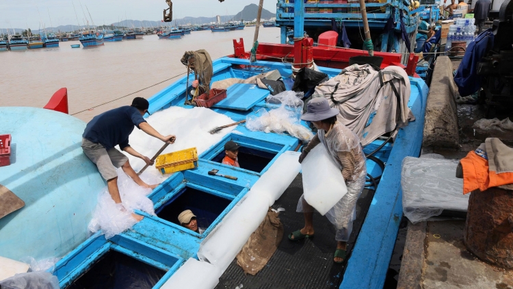 Kon pơlei jang ka Đắk Lắk năm rôp yâu ka hơdang pơyan ‘nao, hơtŏk đon tang găn rôp yâu glăi hăm IUU